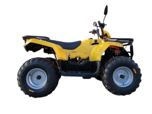 Квадроцикл IRBIS 200 ПСМ
