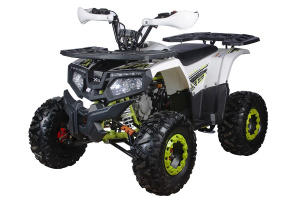 Квадроцикл Yacota Fusion Pro 125 (2025)