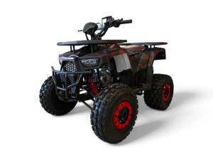 Квадроцикл WELS Thunder AX 125